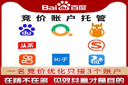 网站sem托管案例分享：如何精准投放广告